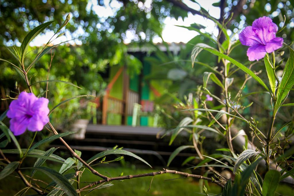 Pousada Cantinho Feliz Fernando de Noronha Ngoại thất bức ảnh